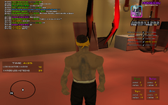 sa-mp-464.png