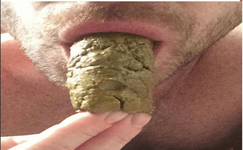 1575221465946.png