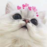 L0C