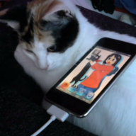 Nyhal bebru)))00))0)