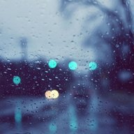 Dimitry_Wood
