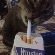 Uwu_Bandit
