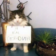 Darkpact x Conflicted