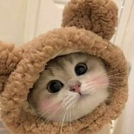 Masya_Brk