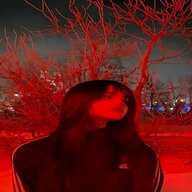 violencez.lsd