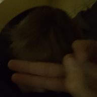 Lemon_Flakmilon