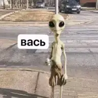 Svat