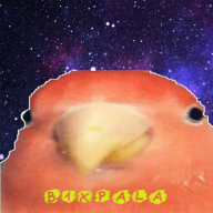 b1xpala