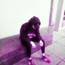 rampage.nosofter