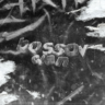 Tema_Boss