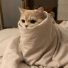 igorusha_torres01