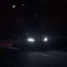 taurus
