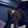 Miracle_Trapstar