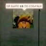 zahitao.dejavu