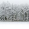 season