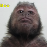 Cho.Higa