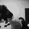 venoprim