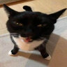 LeOnard