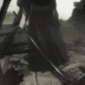 Aokigahara