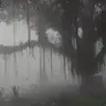 brokezjke