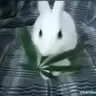 KETAMINE