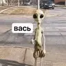 Jedz_Funny