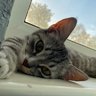 Shadow_Thug