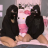 Amou_Maire