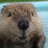 Bober_777