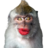 Snake_Makaka