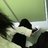 Avitosz_Deadwide