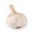 Bebraik_Cellertz