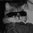 Romawka_Hardwave