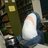 Damir_Strays