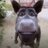 Egor_Meen