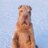 tonny.mrtls