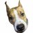 Shuler_Shelegin