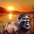 Thomas_Bullba