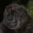 loudestlord