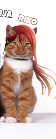 N4kVmnS.png