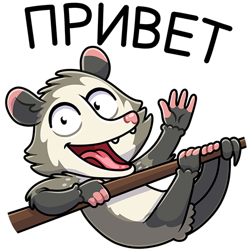 rnRcoN3.png