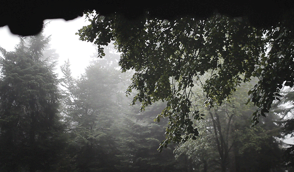 10ff4f98a494e390e07b1a0e9eefa4be.gif