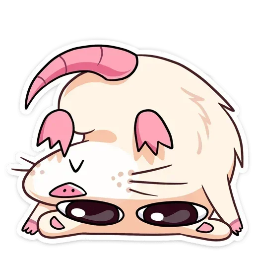 nutri_no_text_028.webp