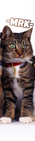 MSdo1rB.png