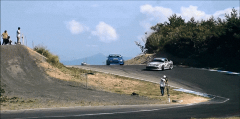 giphy.gif