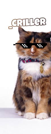 AT85Jwz.png