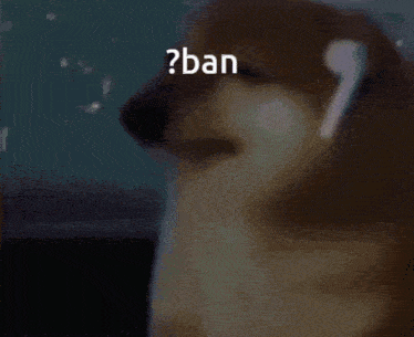 ban-discord-ban.gif