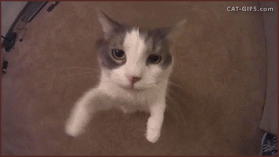 7fce52ee1aea9db5dfd37c0741372db9.gif